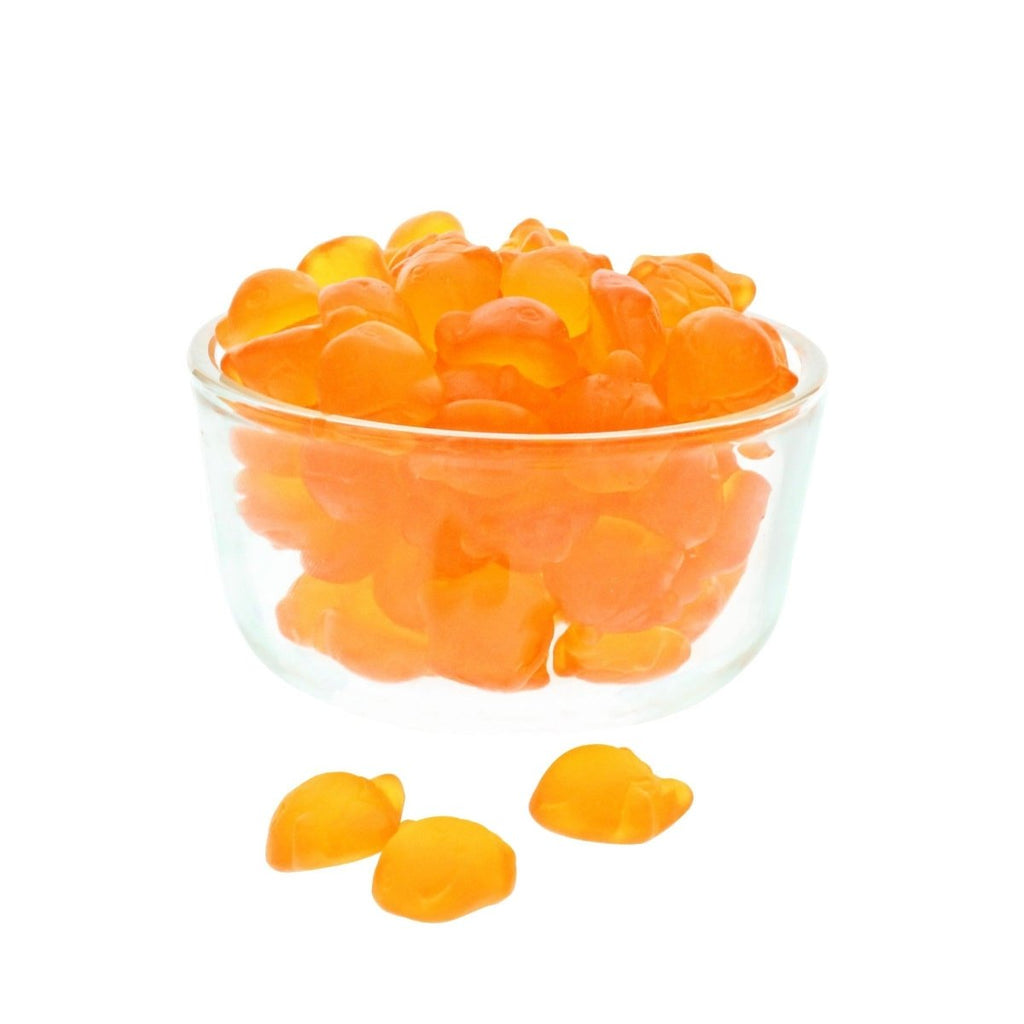 Gummy Goldfish Bulk